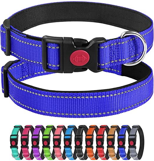 Verstellbares, individuelles Nylon-Neopren-gepolstertes Hundehalsband