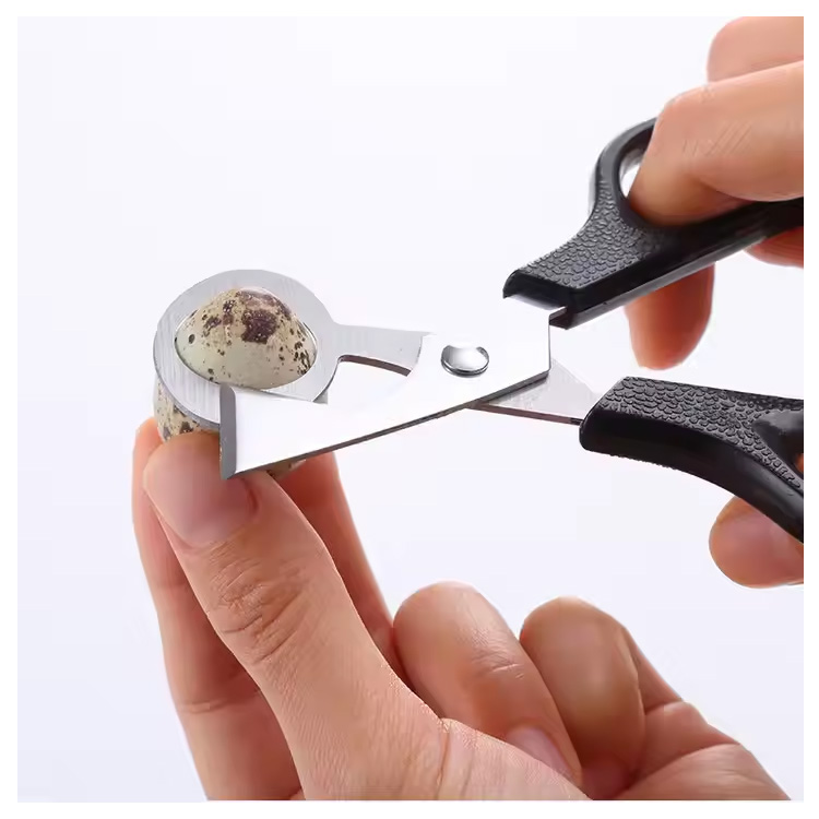 Billige Küchenwerkzeugpaube Wachtel Vogel Eier Clipper Cutter Scissor