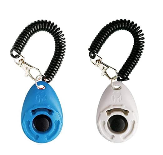 Effektiver Hundetraining Clicker mit Armband