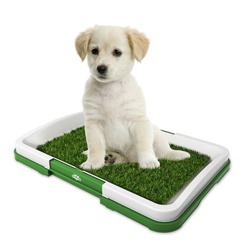 Grass Mat Indoor Pet Töpfchen