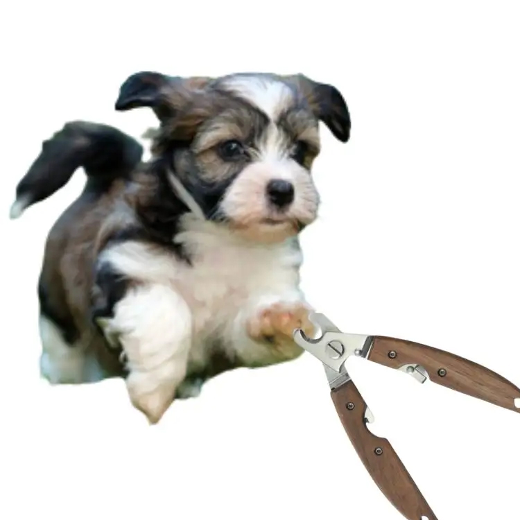 Pet Nagel -Pflegewerkzeug: Anleitung zur Auswahl des besten Pet Nagel Clipper