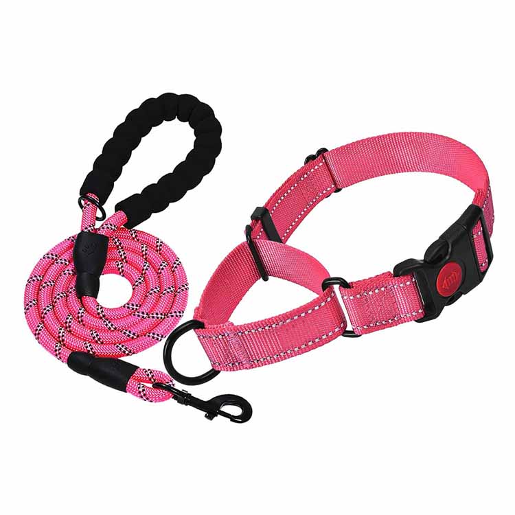 Reflektierendes, individuell verstellbares Hundehalsband und Leinen-Set